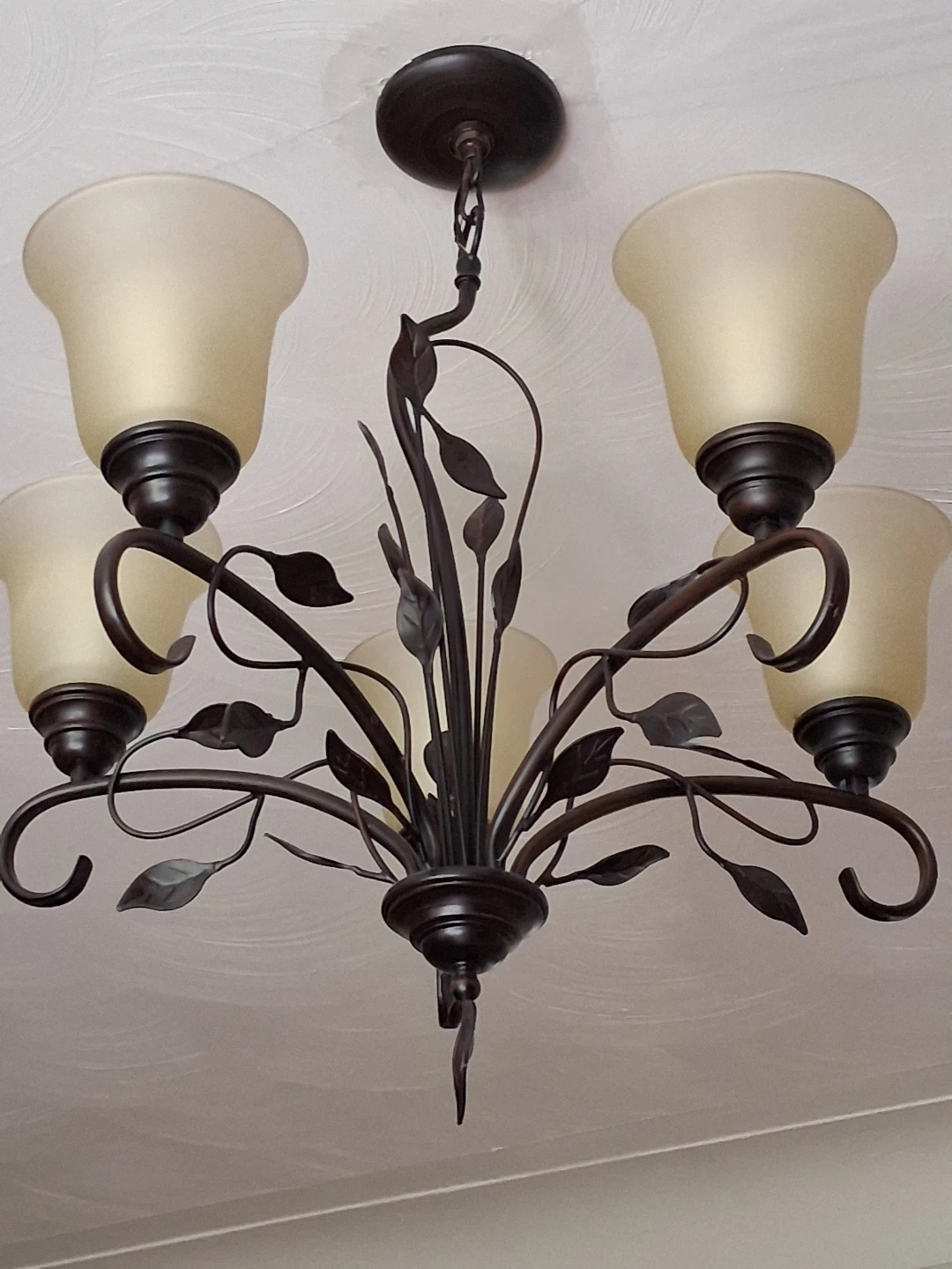Rustic Chandeliers