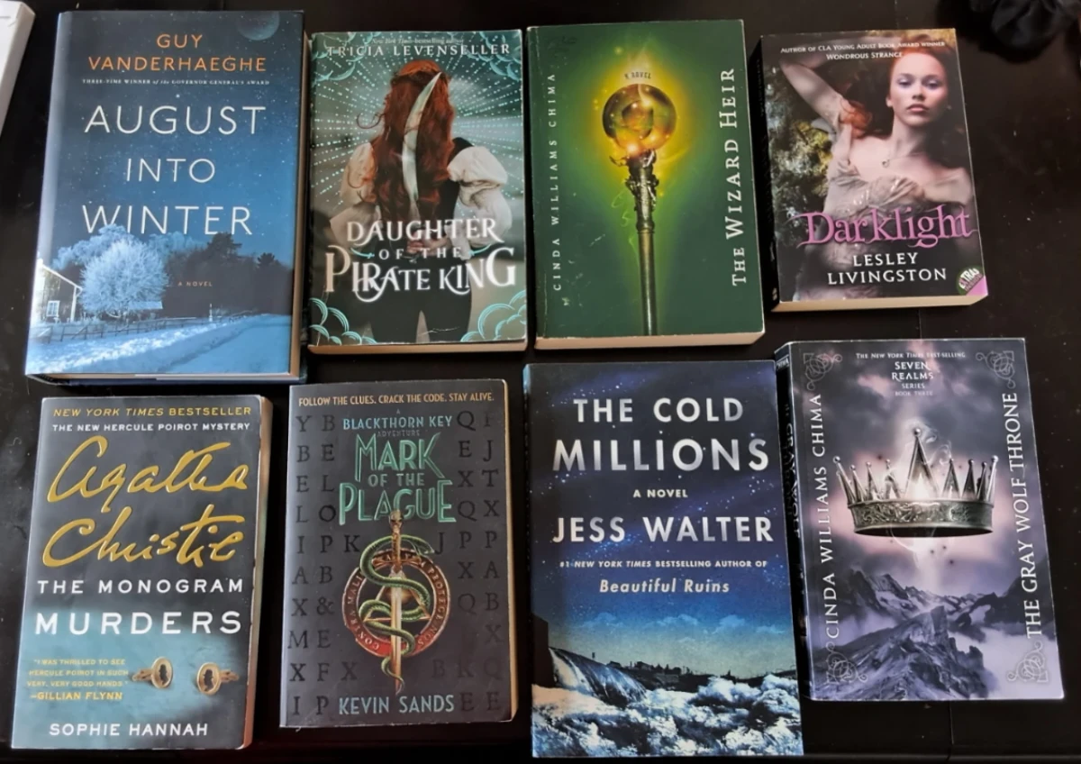 Assorted young adult & adult novels