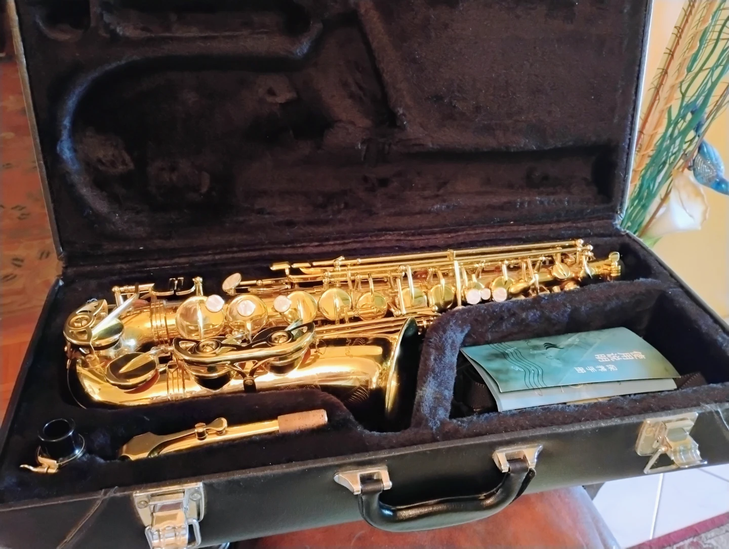 Ruiyin Alto Saxophone