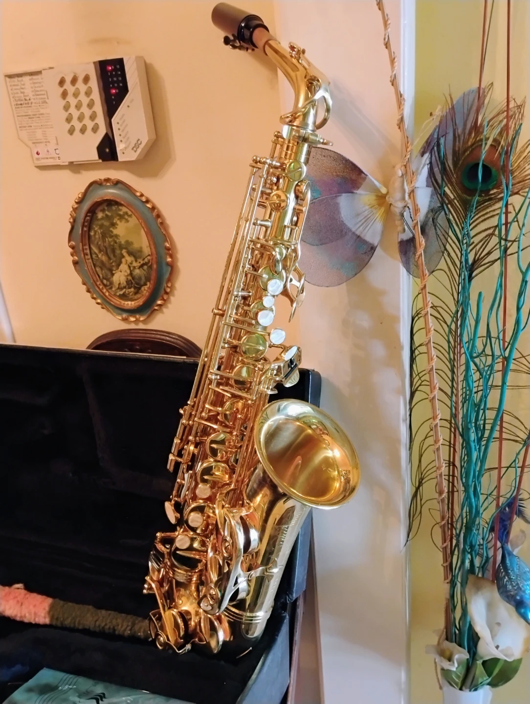 Ruiyin Alto Saxophone - photo 3