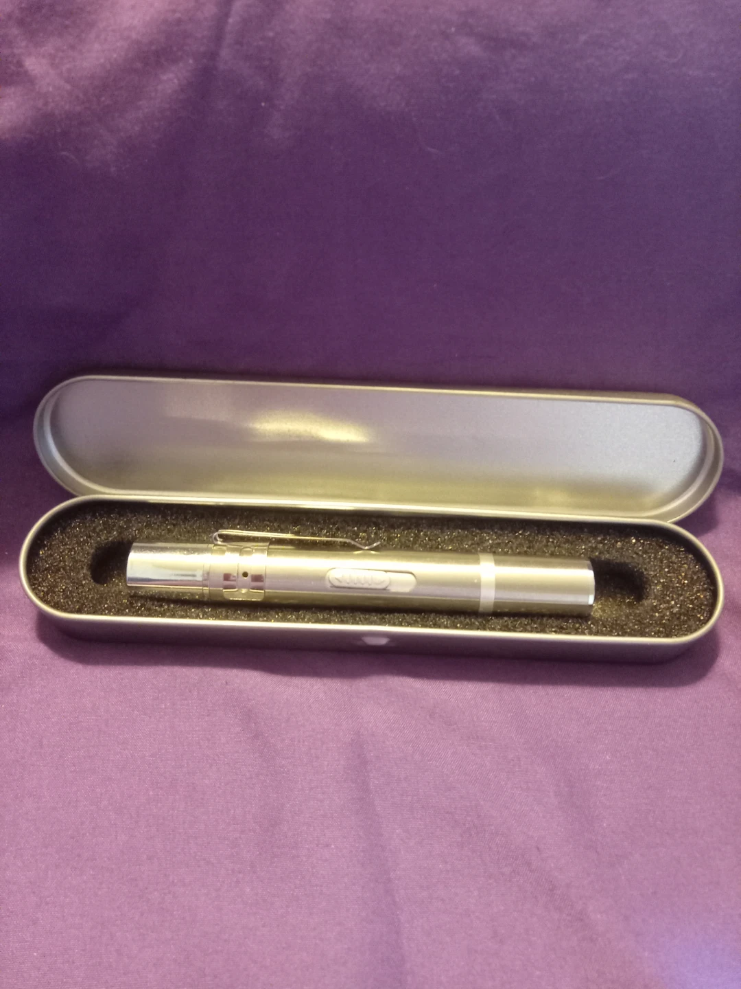 Silver Pen Style Cat Laser Pointer with Case