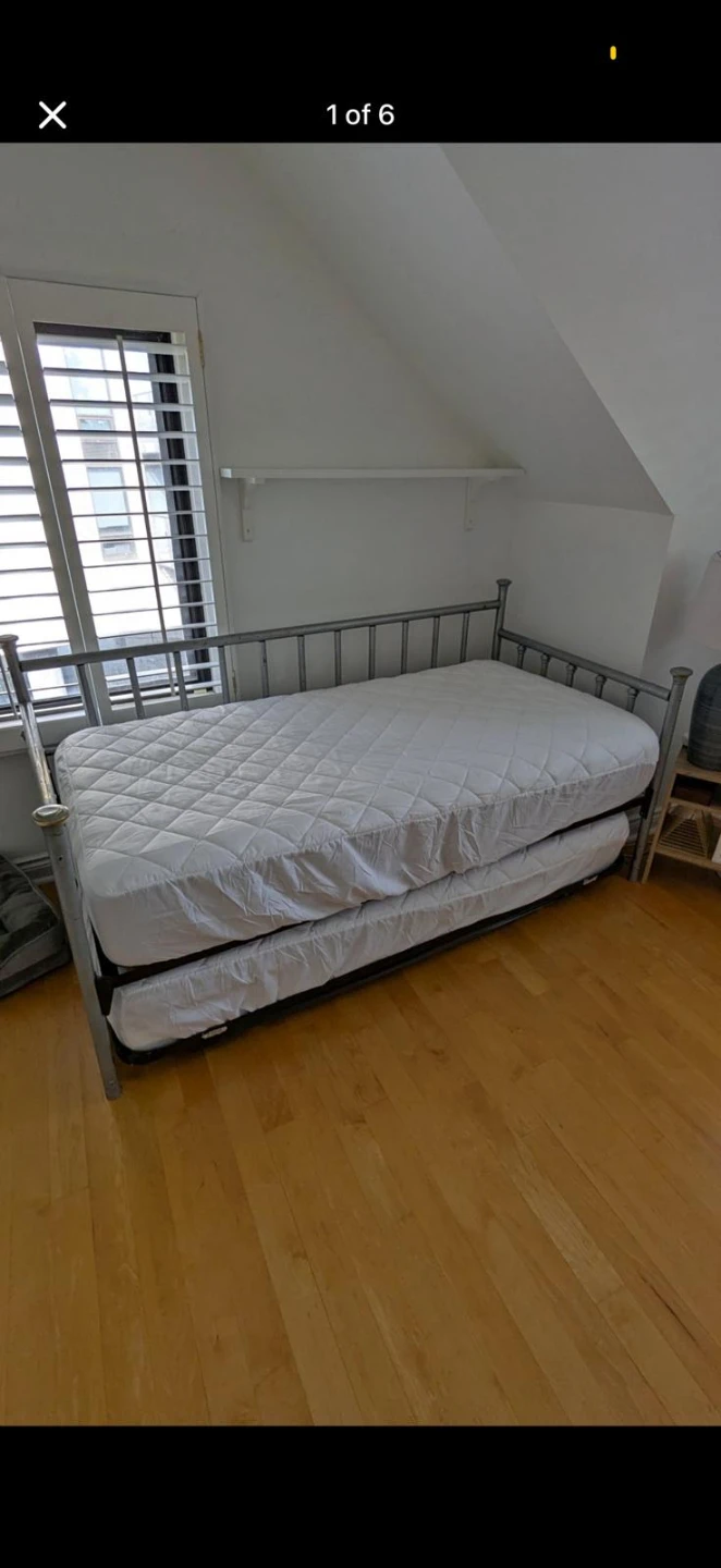Metal Daybed with Trundle and Mattresses