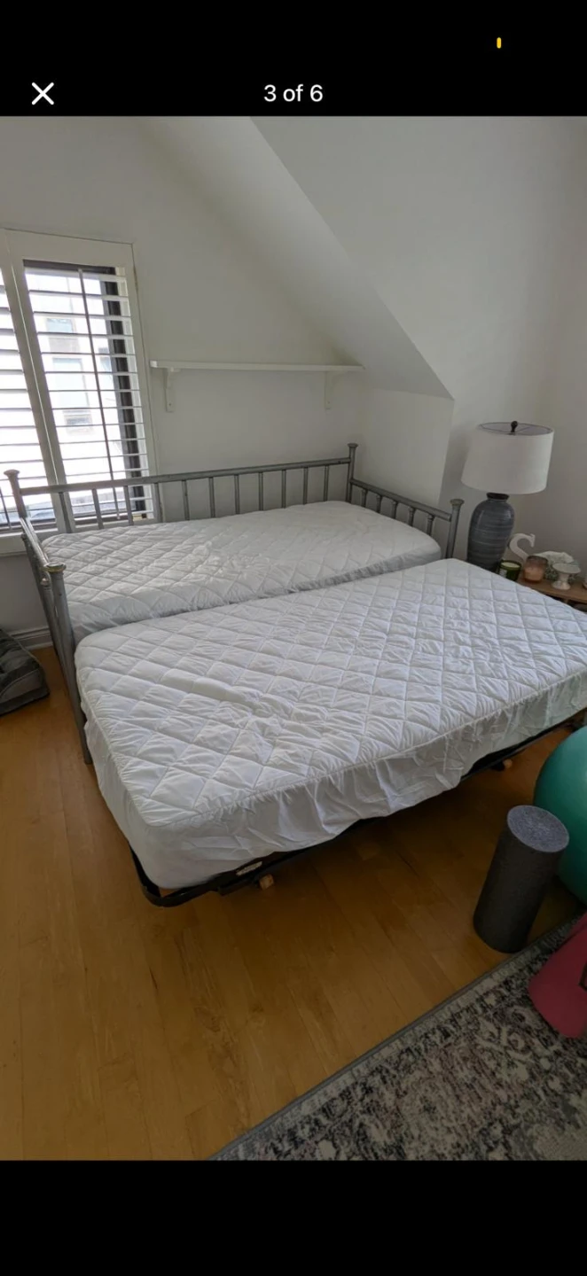 Metal Daybed with Trundle and Mattresses - photo 3