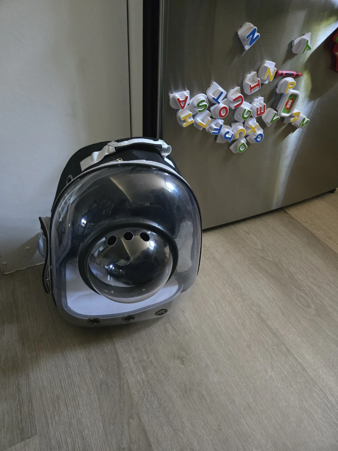 Cat Supplies - photo 2