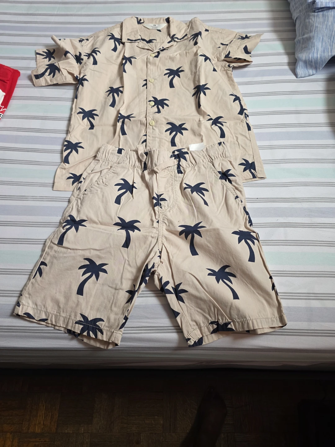 H&M Kids Palm Tree Shirt and Shorts Set