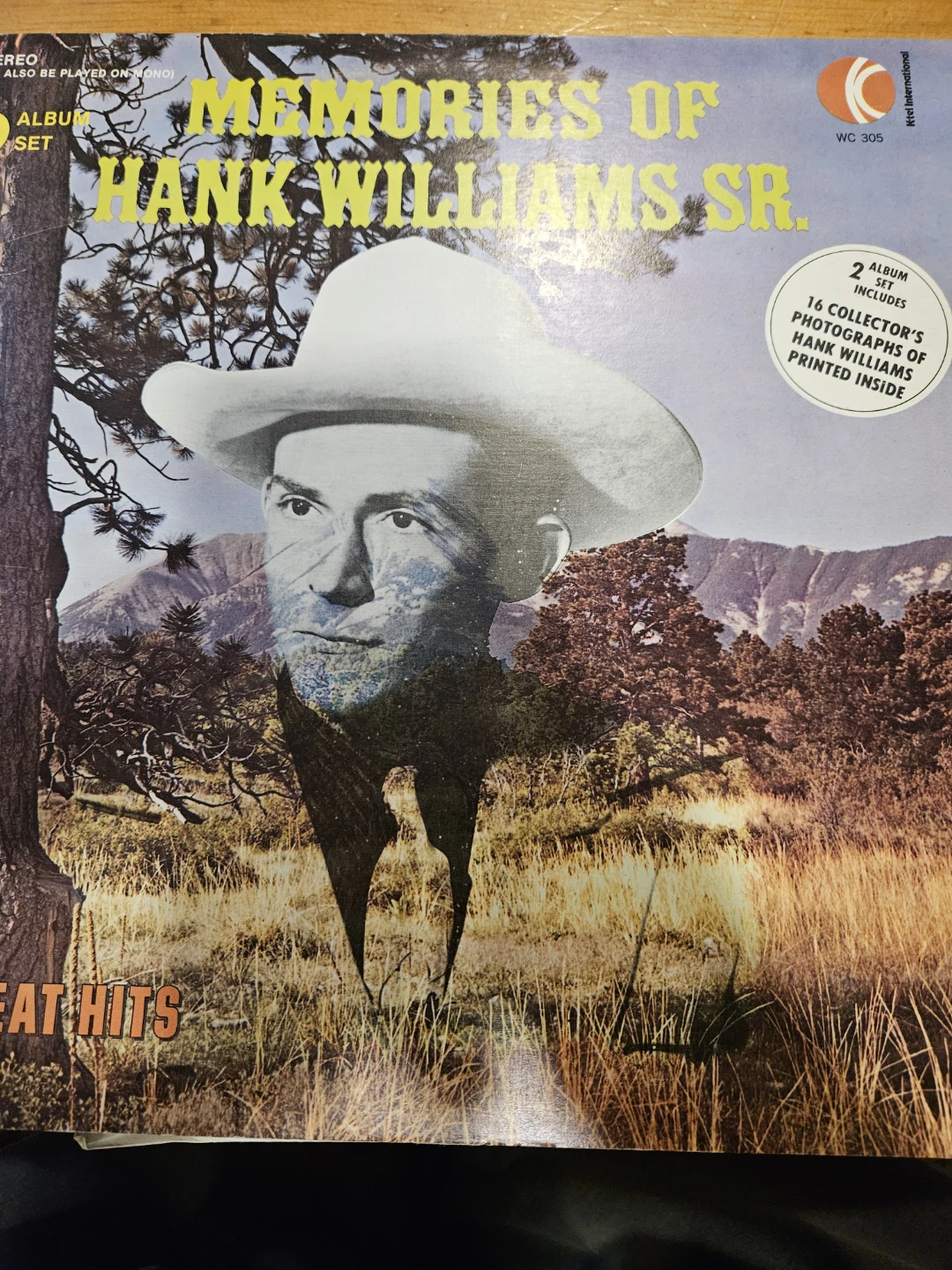 Hank Williams Sr. Memories Great Hits 2-Album Set