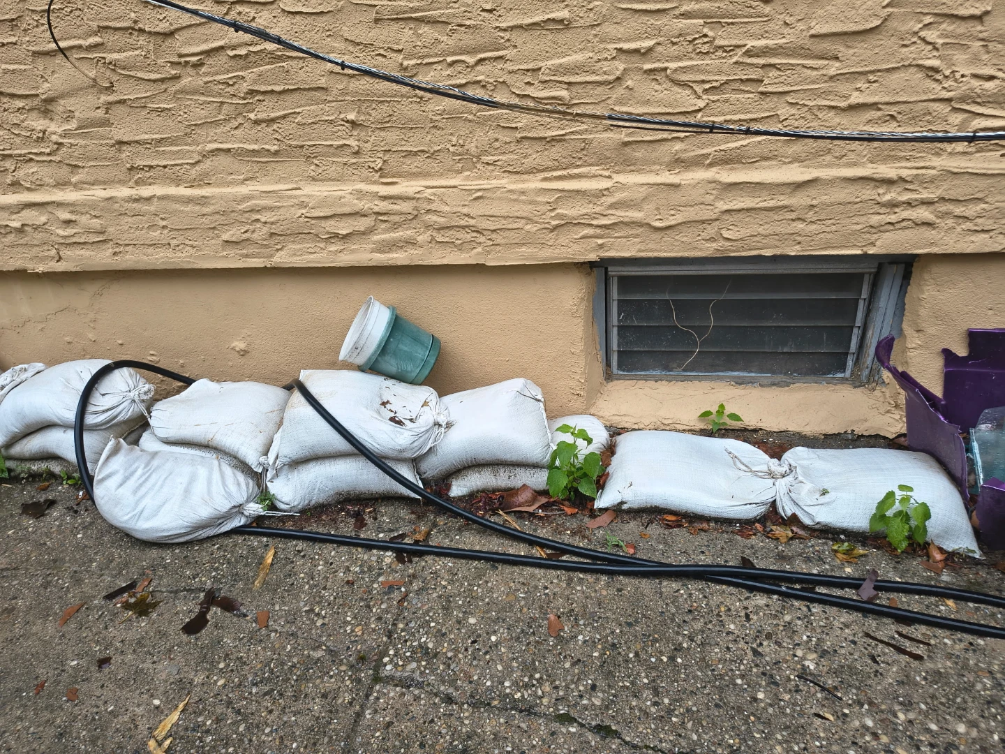 Free bags of sand, queens
