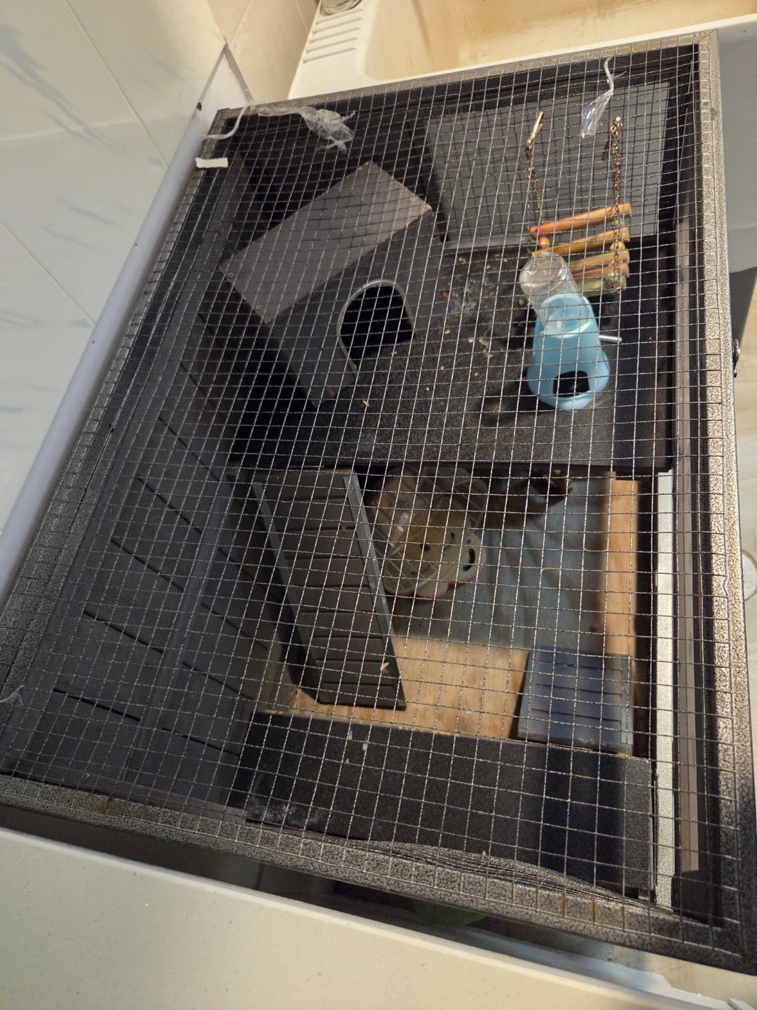 Multi-Level Small Animal Habitat Cage - photo 3