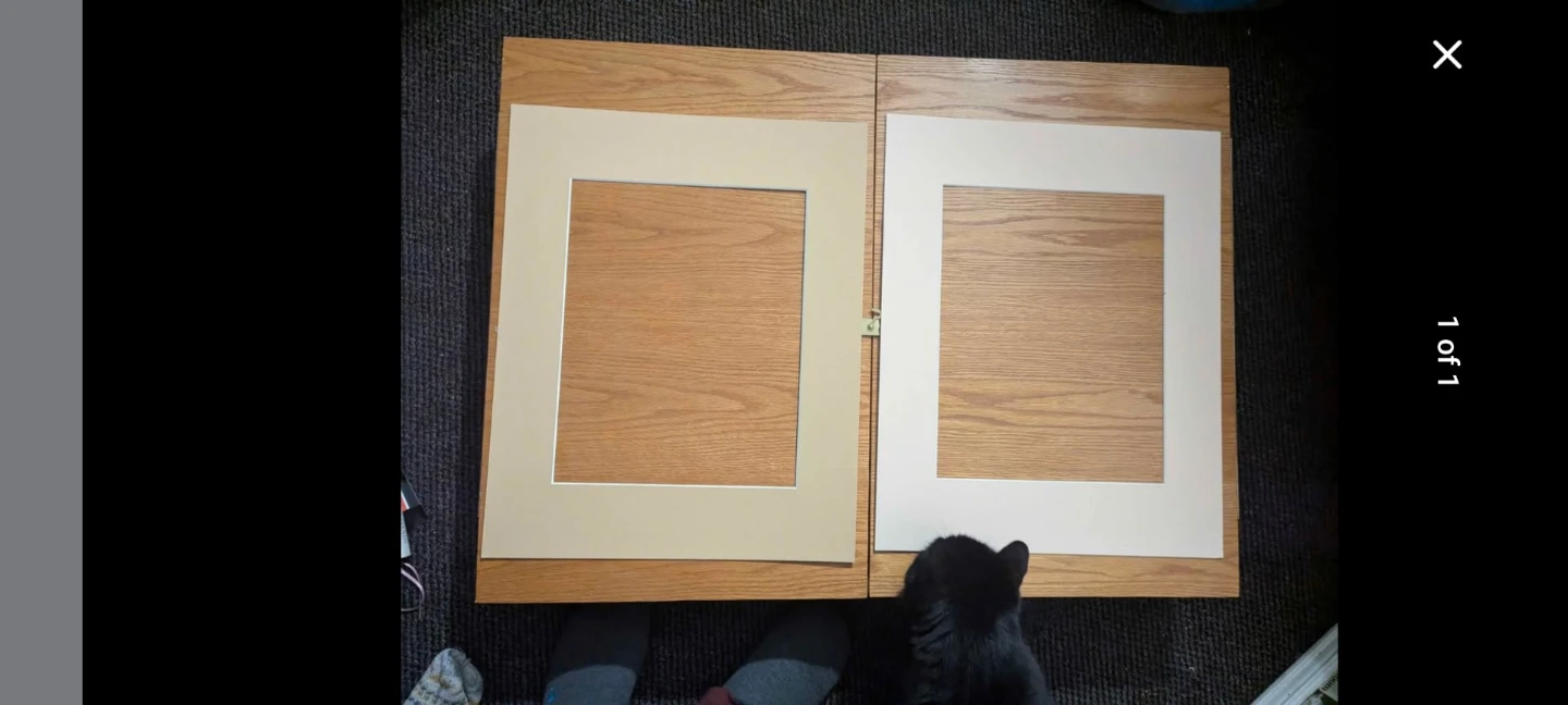 Two Picture Mats for Framing 20x16