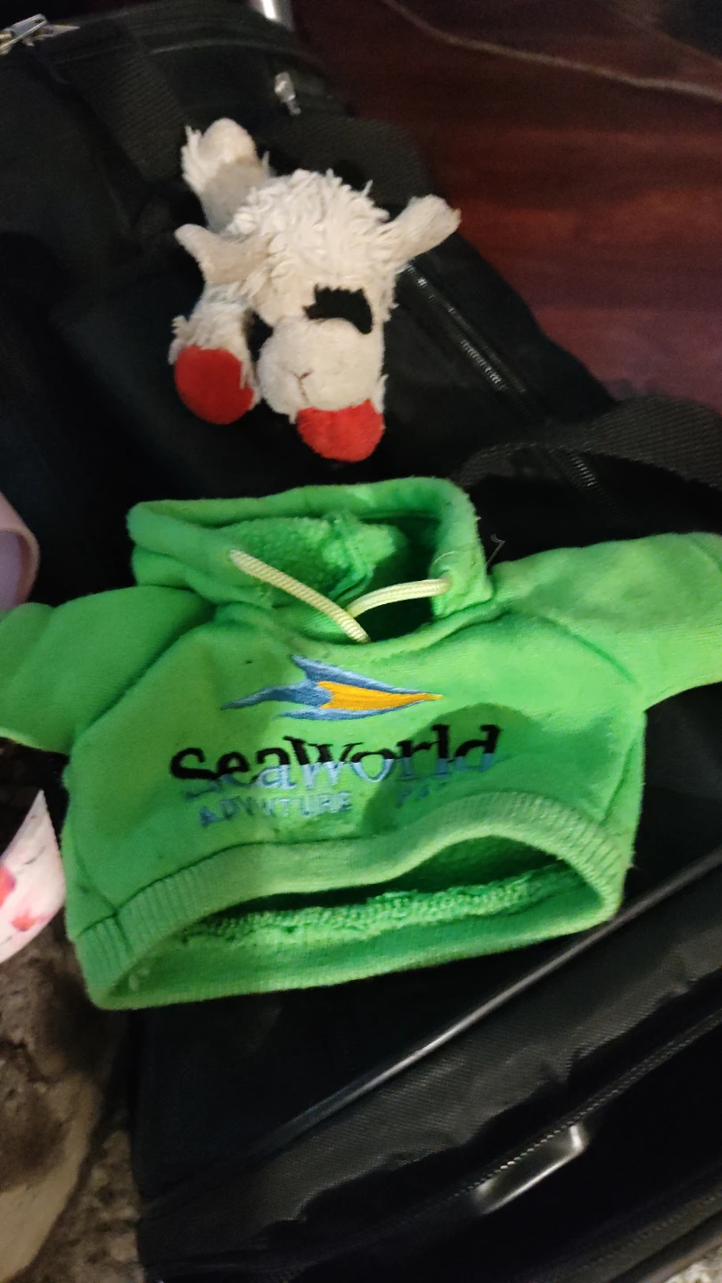 SeaWorld hoodie