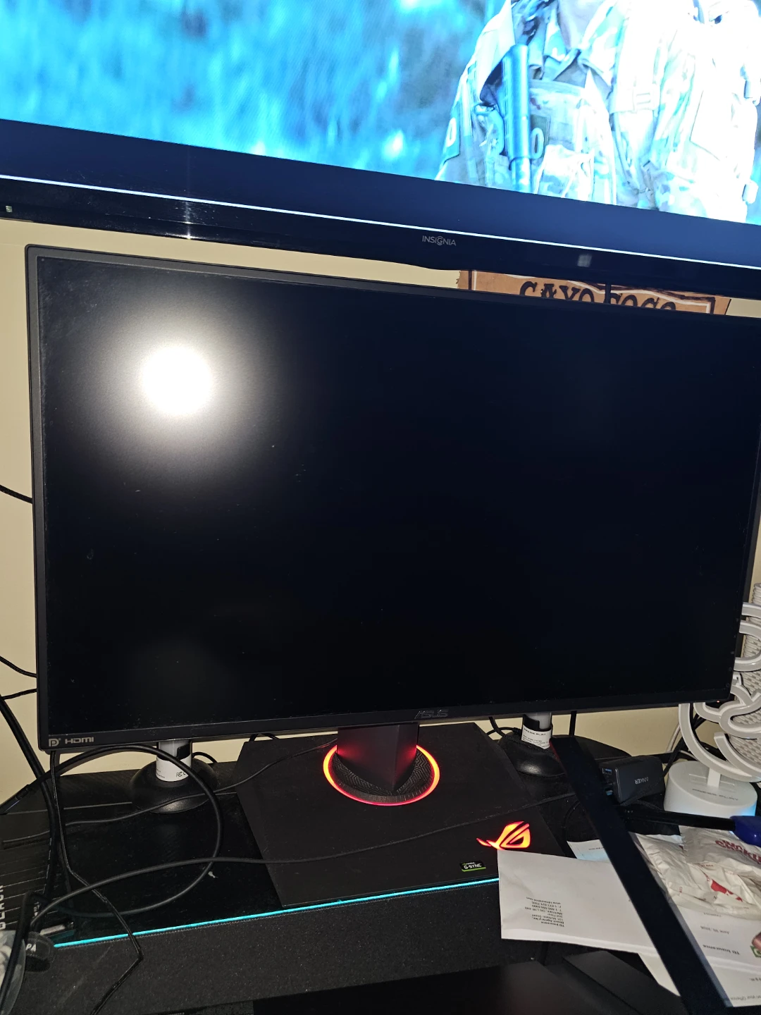ASUS ROG Gaming Monitor