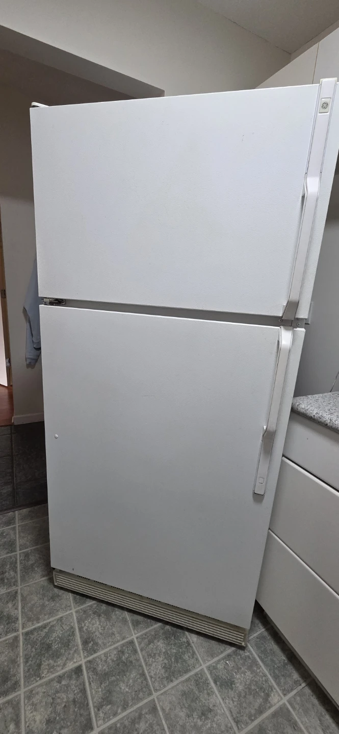 White Top Freezer Refrigerator GE