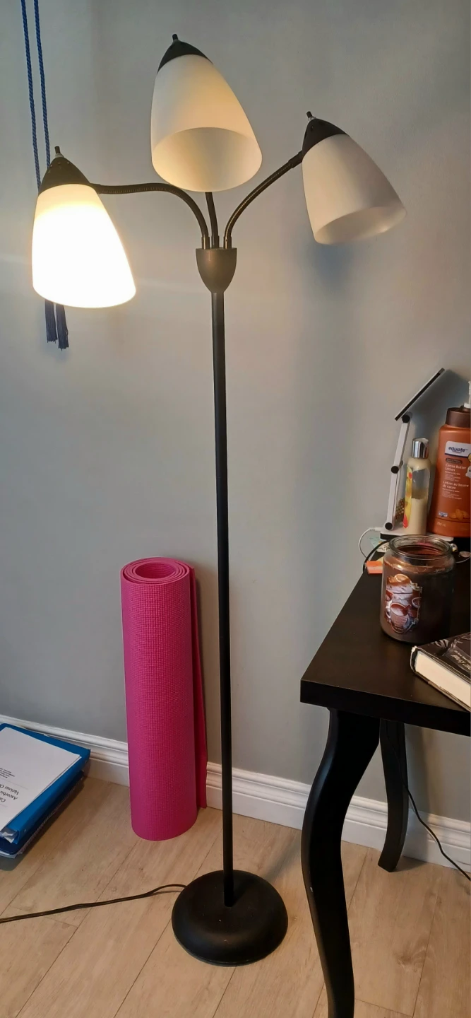 Black 3-Arm Floor Lamp with Adjustable Heads