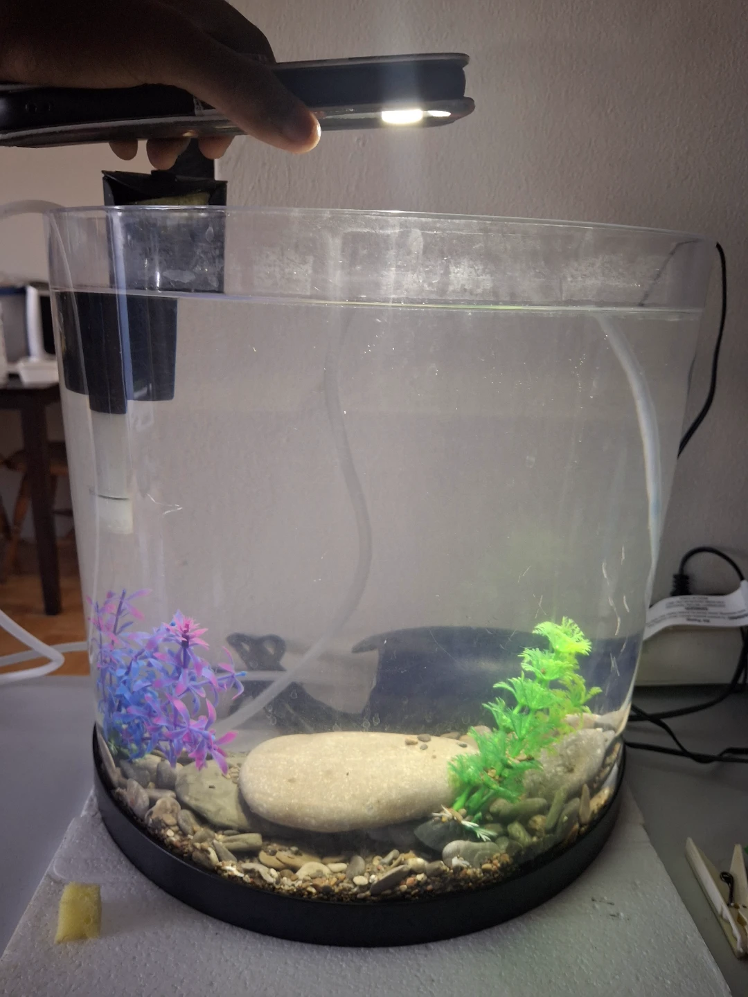 Small Desktop Aquarium Kit - photo 3