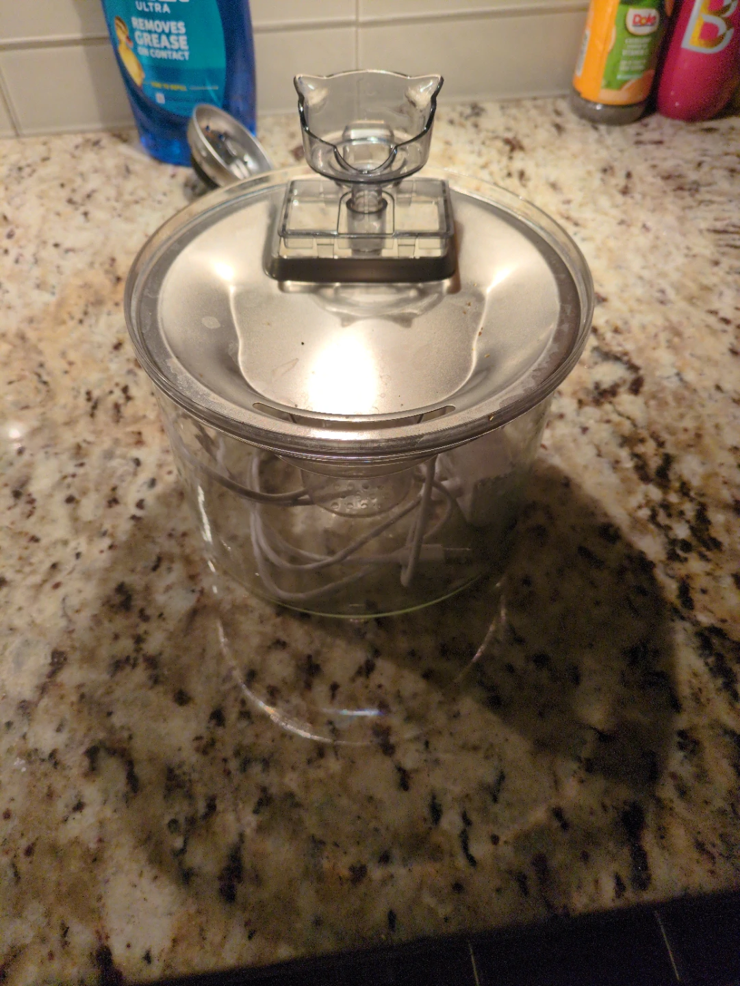 iPettie Stainless Steel Pet Water Fountain