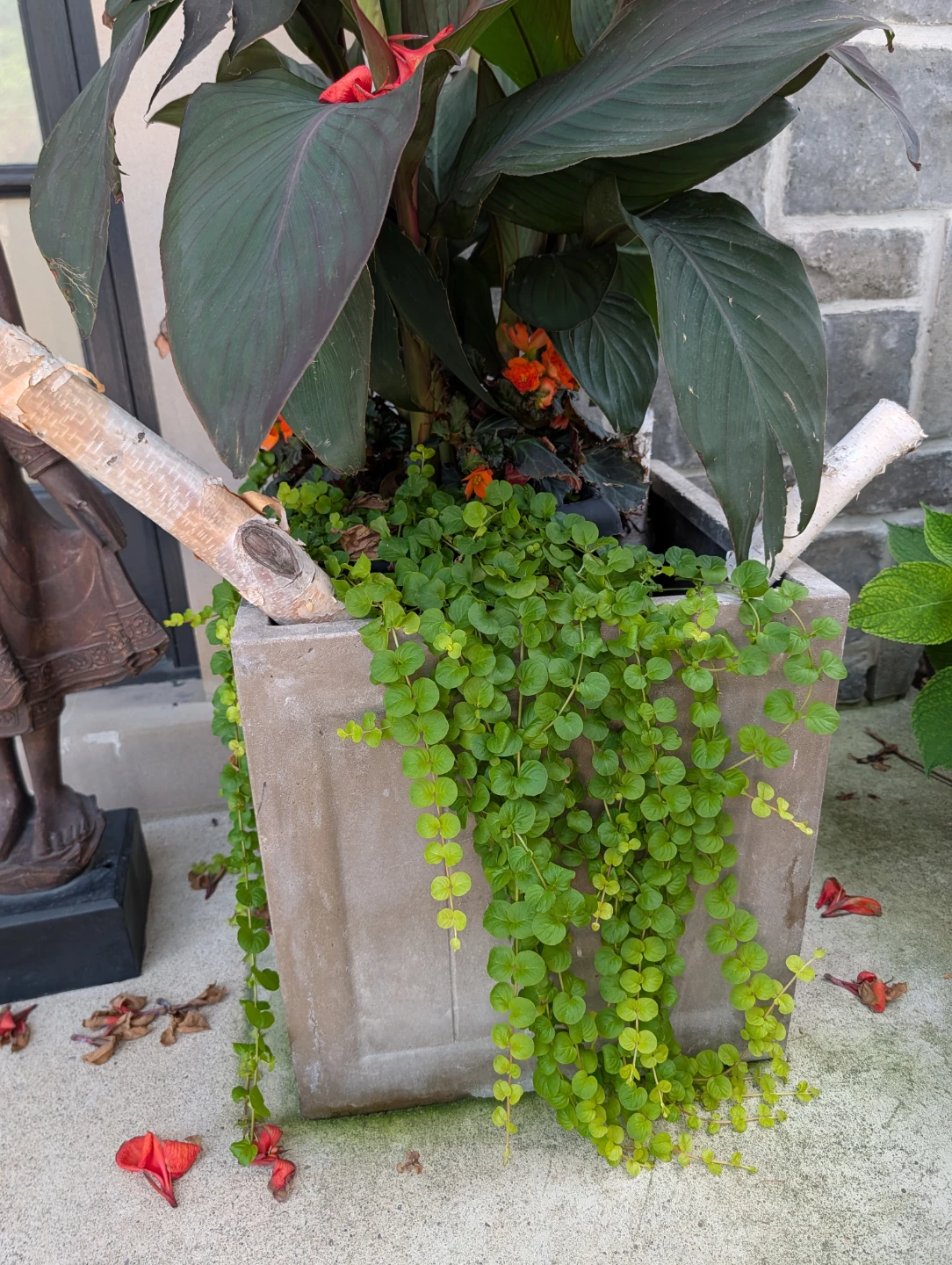 2 Square Concrete Planter with Plants - photo 2