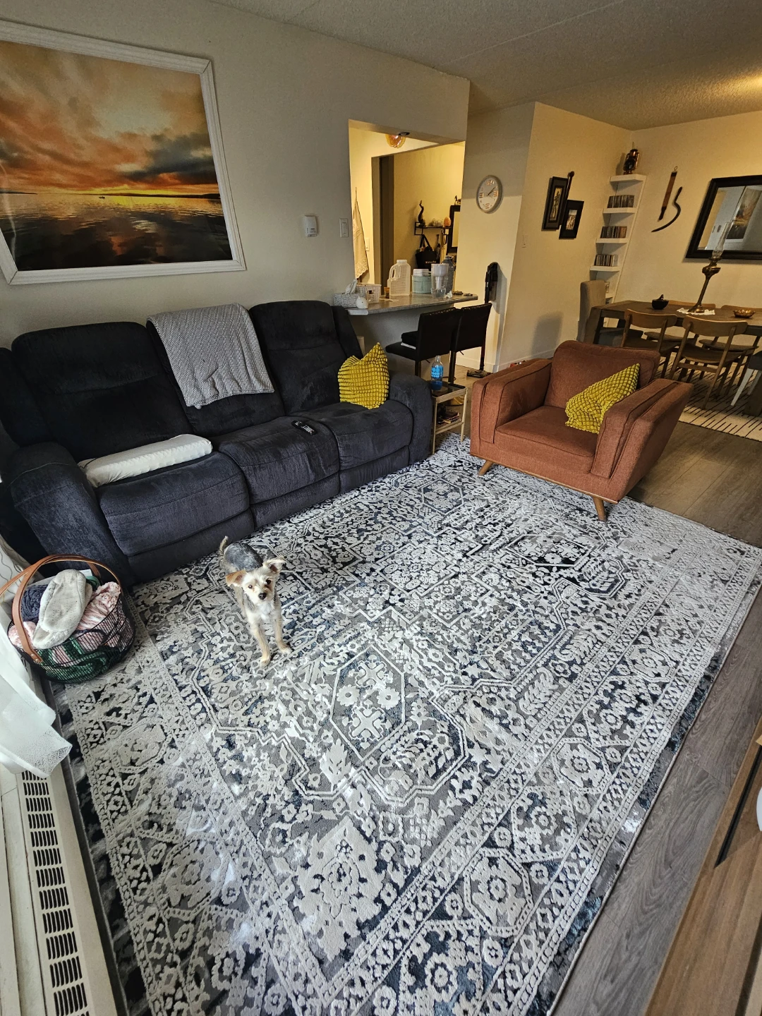 Classic Home Distressed Raffine 8' x 10' Area Rug