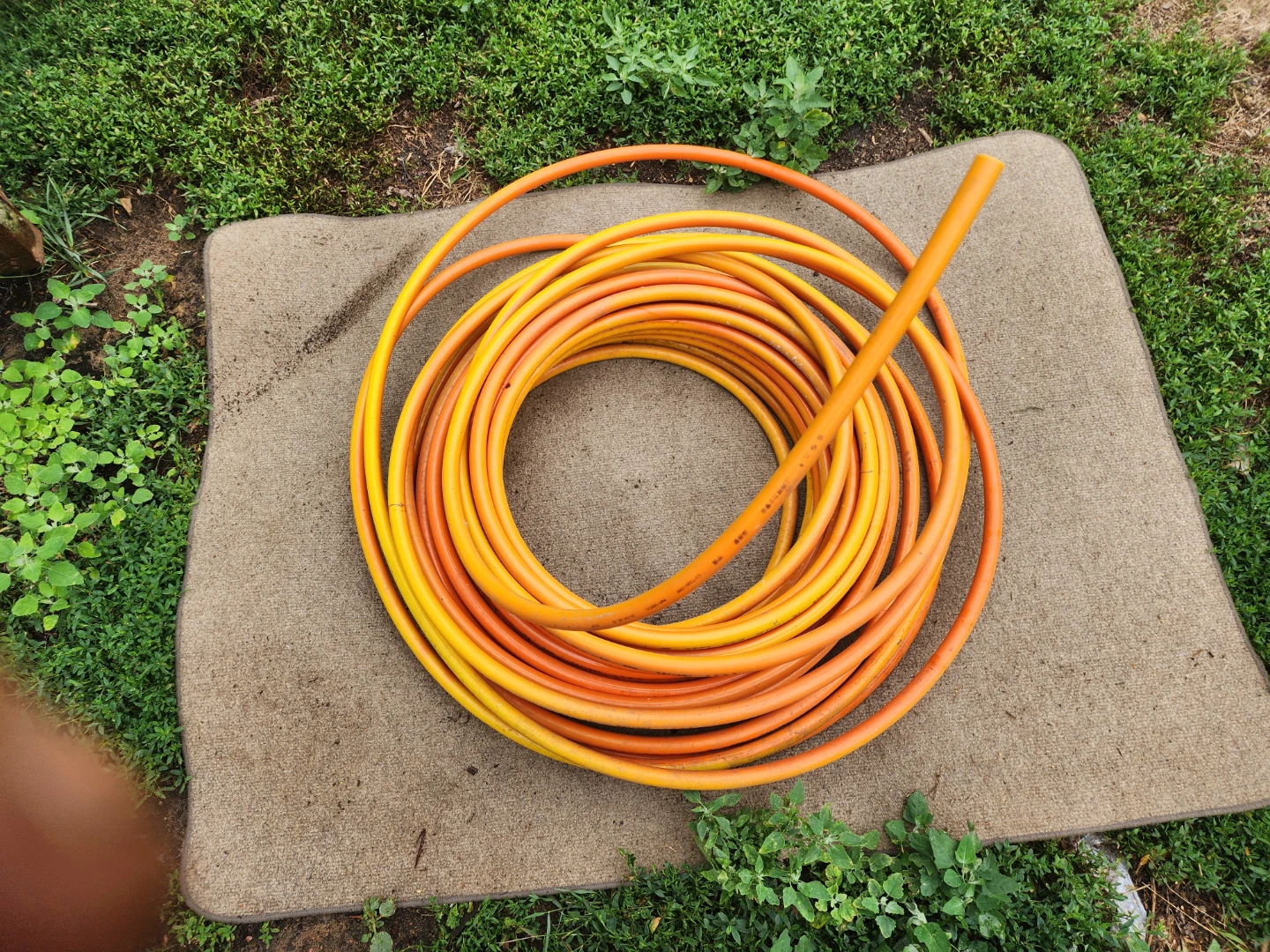Coated copper steam line