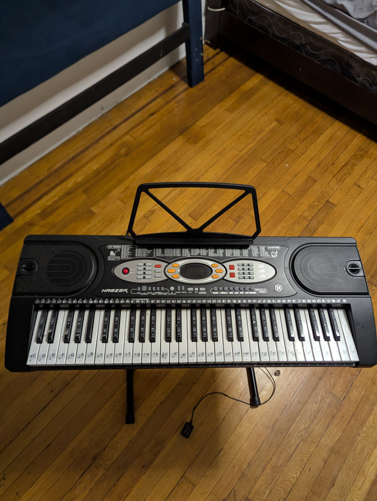 HAMZER 61-Key Electronic Keyboard with Stand