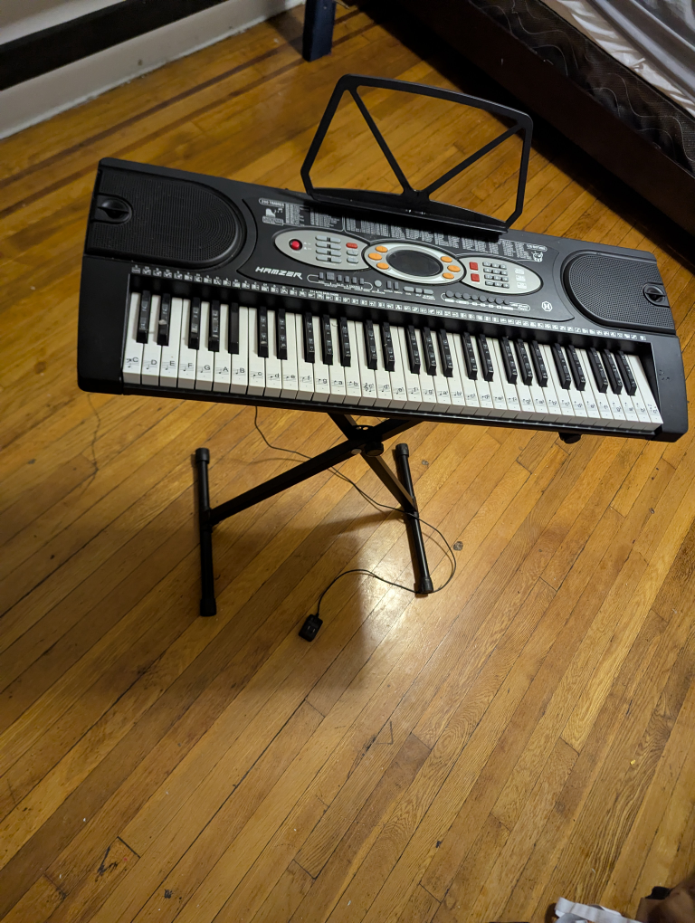 HAMZER 61-Key Electronic Keyboard with Stand - photo 2