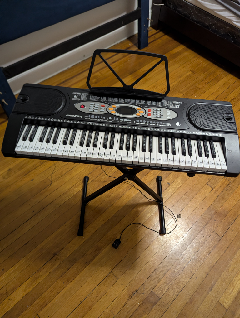 HAMZER 61-Key Electronic Keyboard with Stand - photo 4