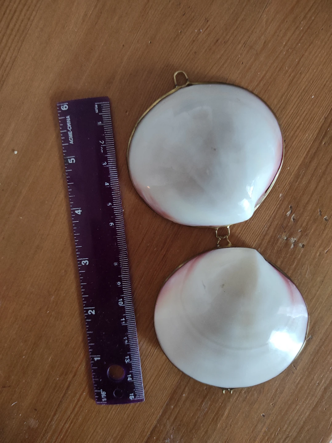 Sea shell container - photo 4
