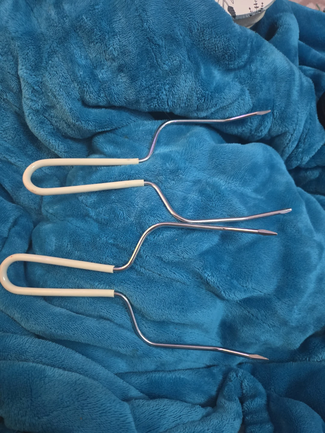 Vintage Roasting Forks Set