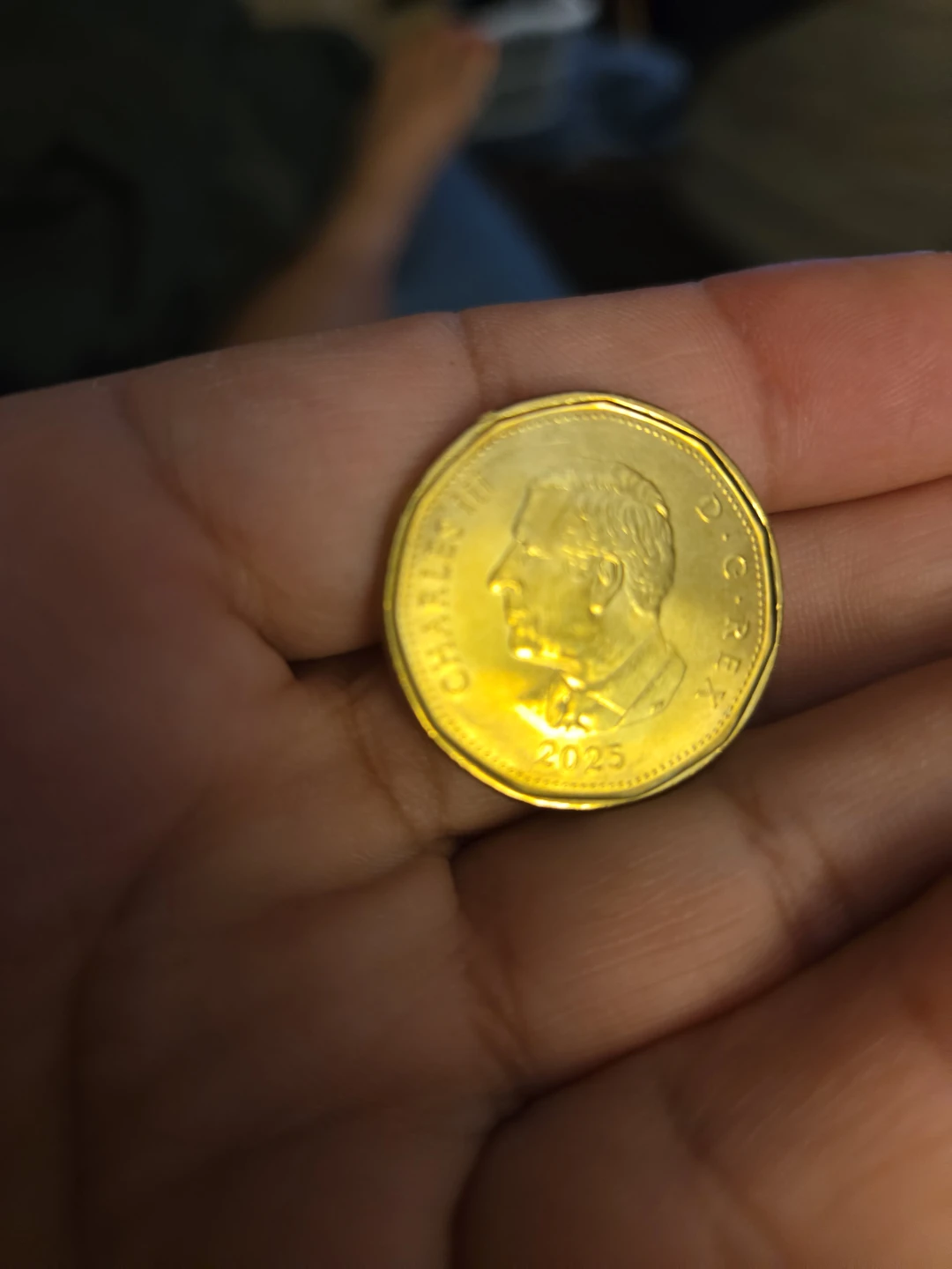 2025 Canada 1 Dollar Coin - photo 2