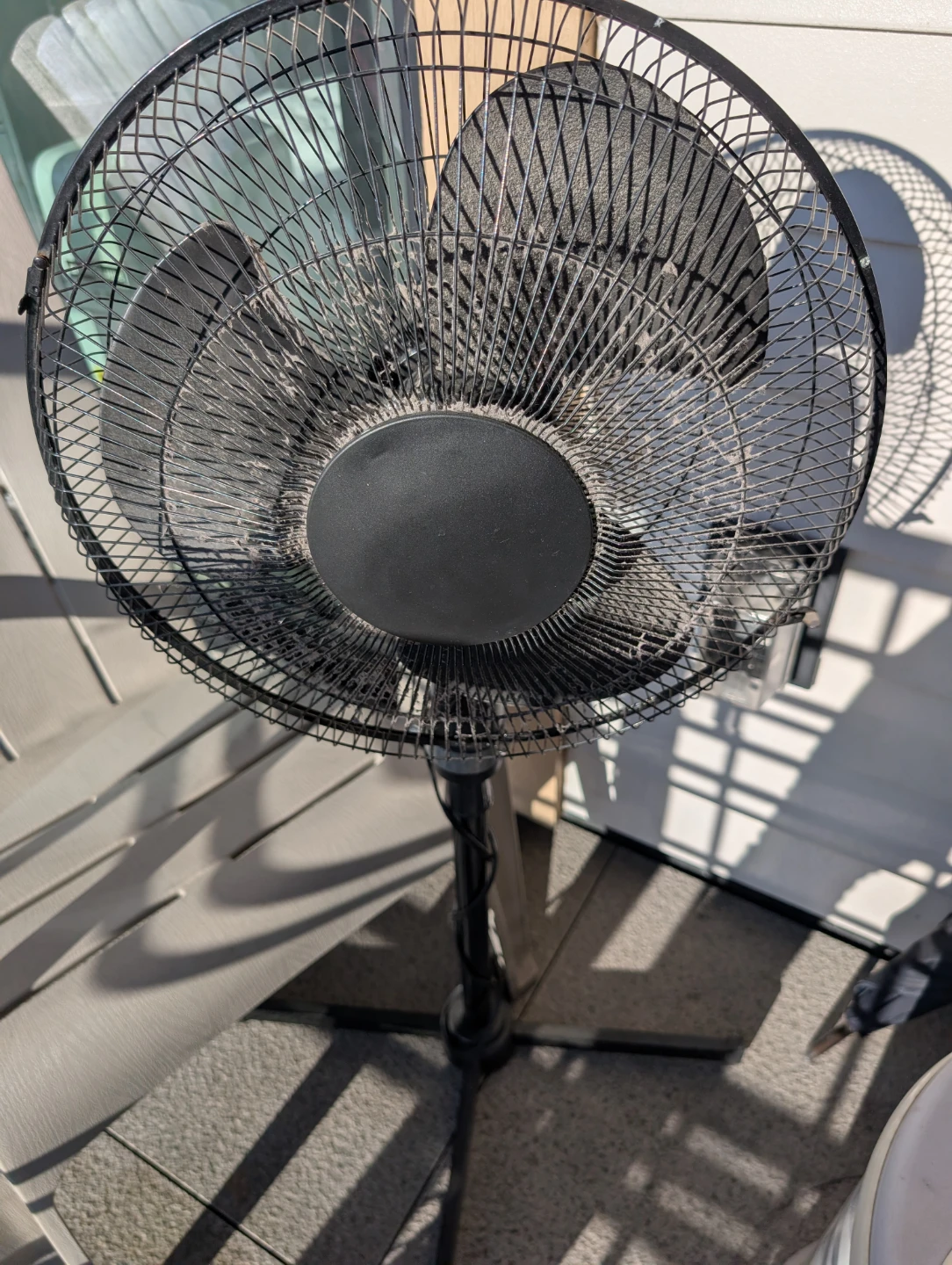 Black Standing Fan