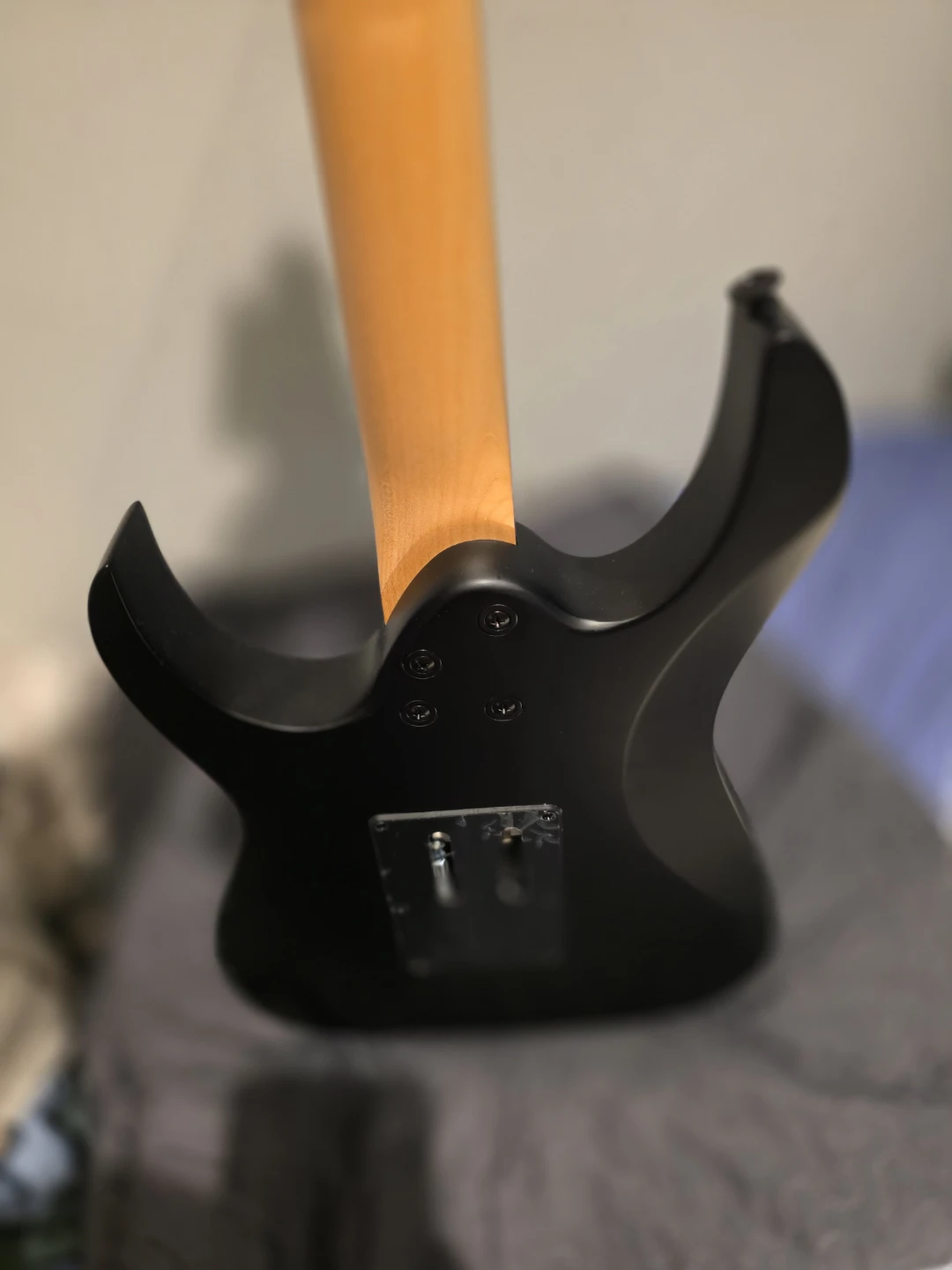 Ibanez RG Series Electric Guitar