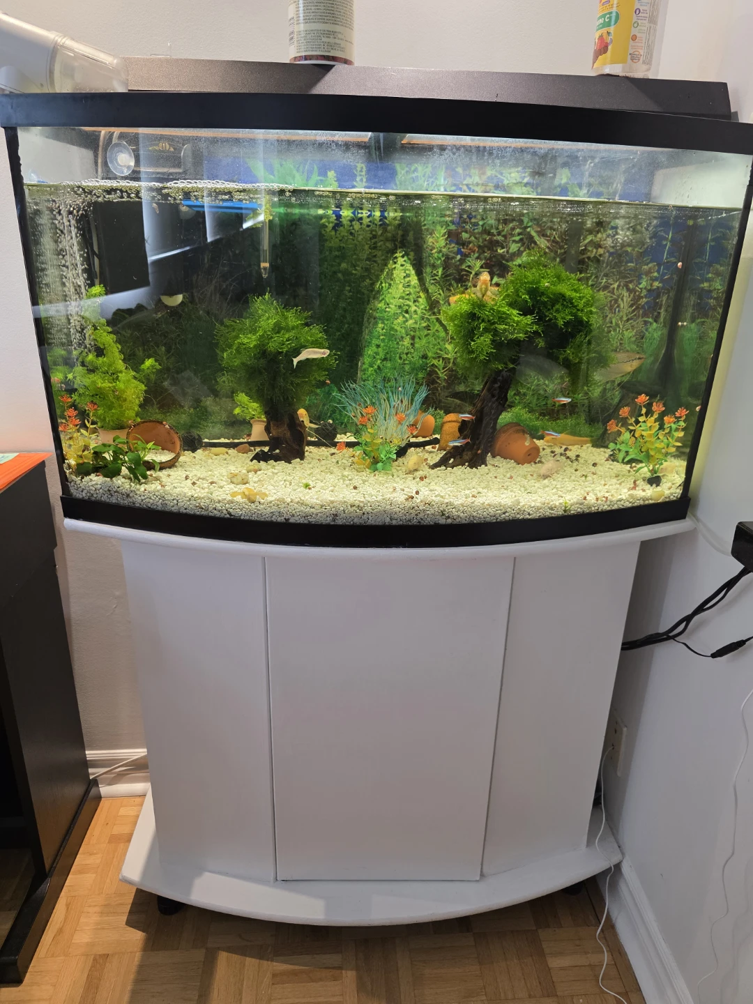 Curved Front Aquarium with Stand 45 Gallons