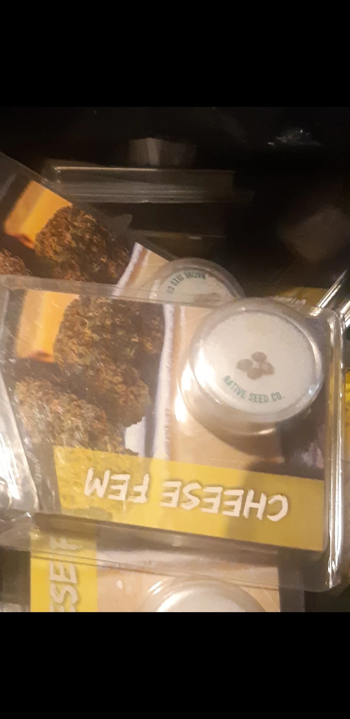 Native Seed Co. "Cheese" Fem Seeds