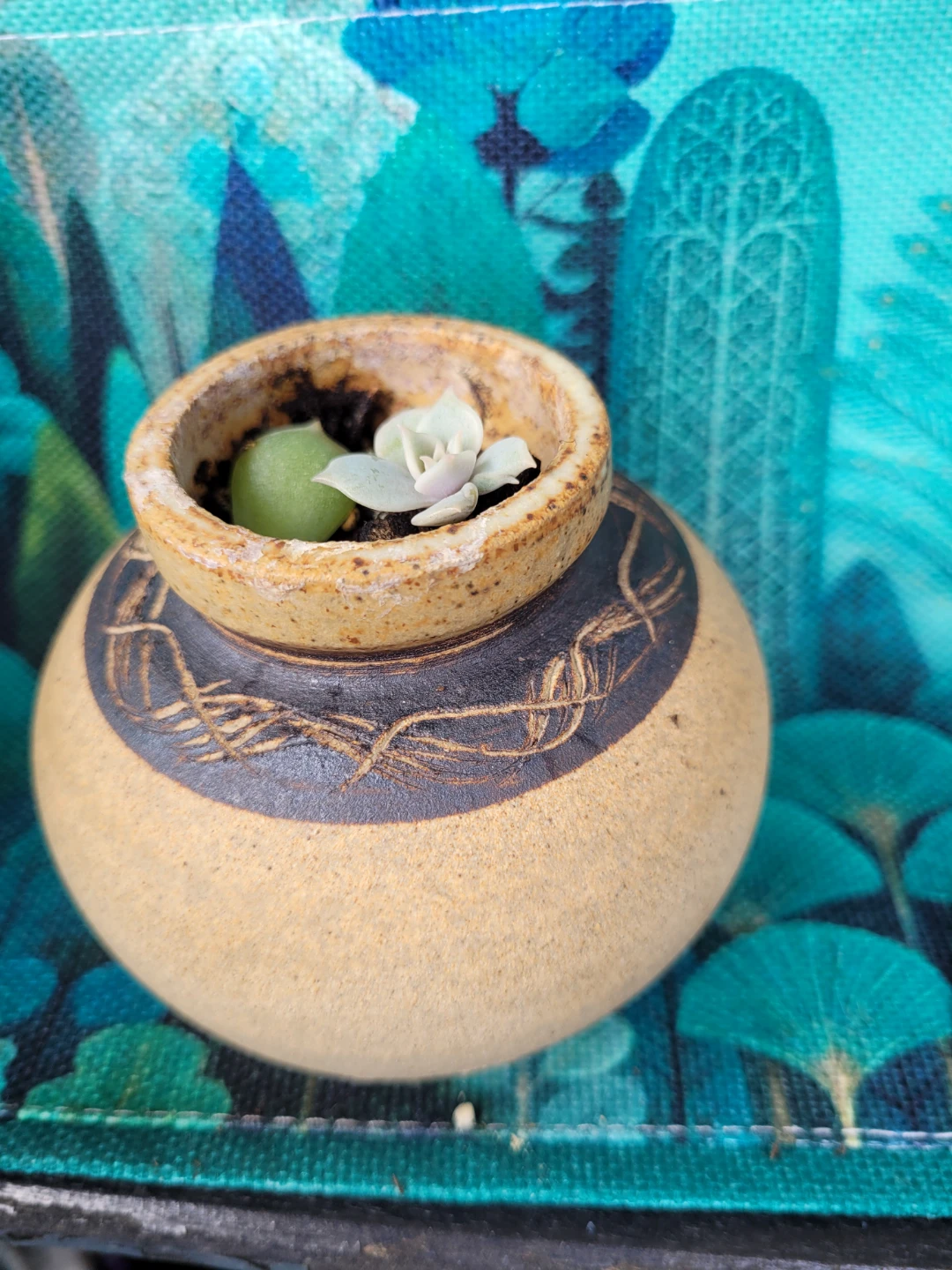 Small Decorative Pot with Succulents