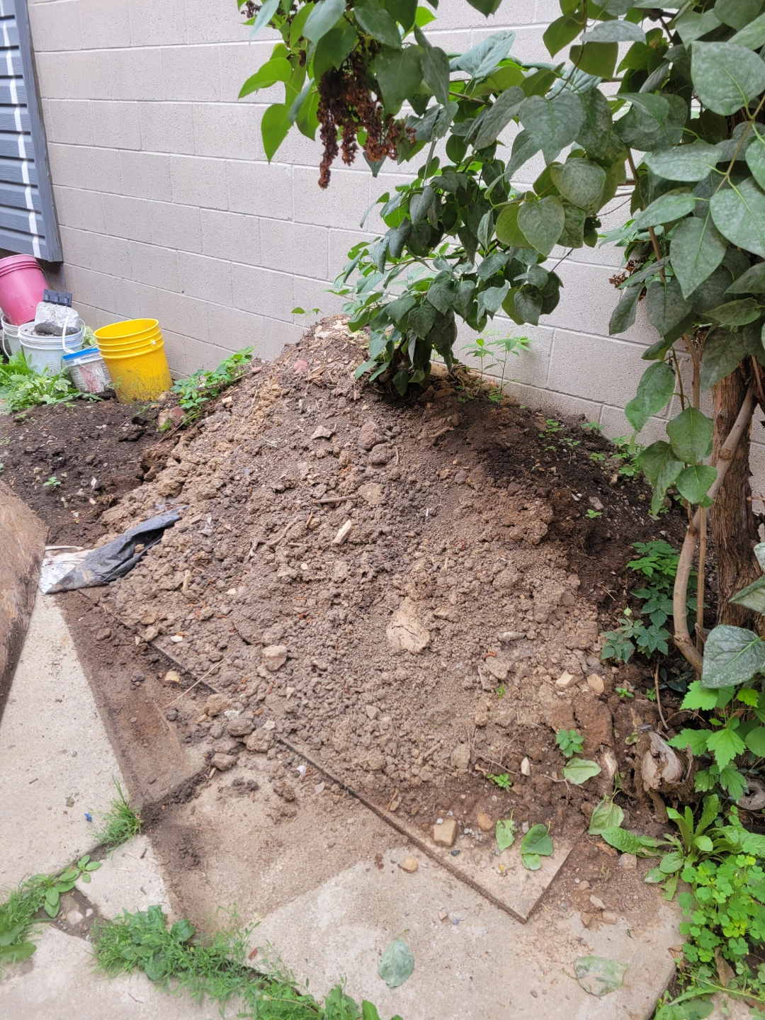 Dirt