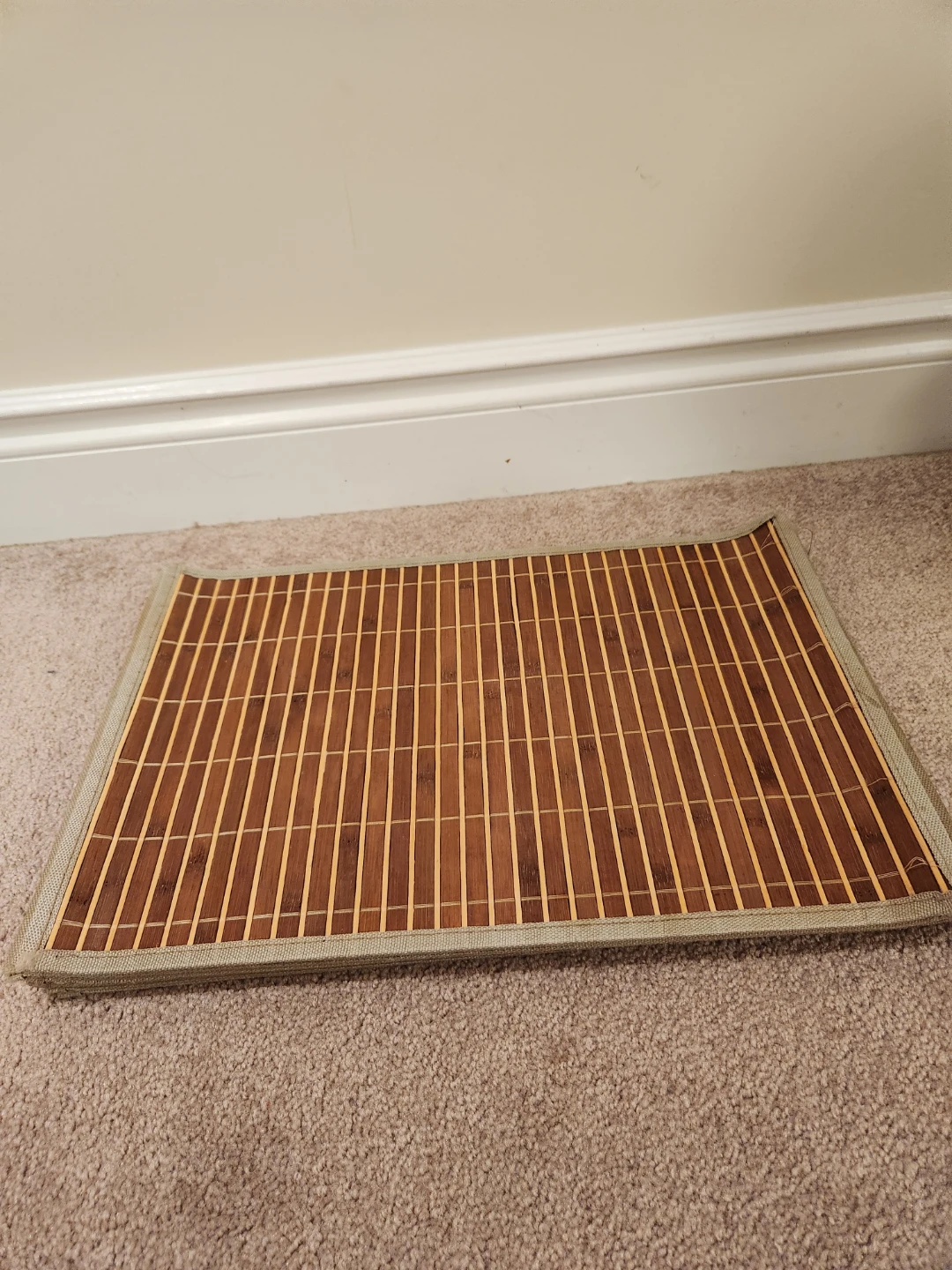 Set of 10  Bamboo Table Placemats