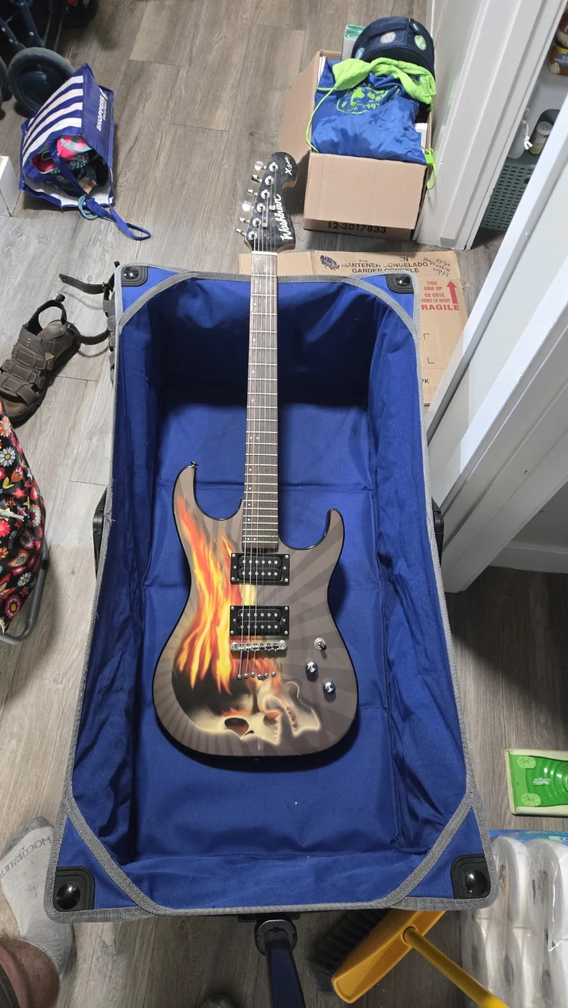 Washburn Pro Electric Guitar — Excellent Condition