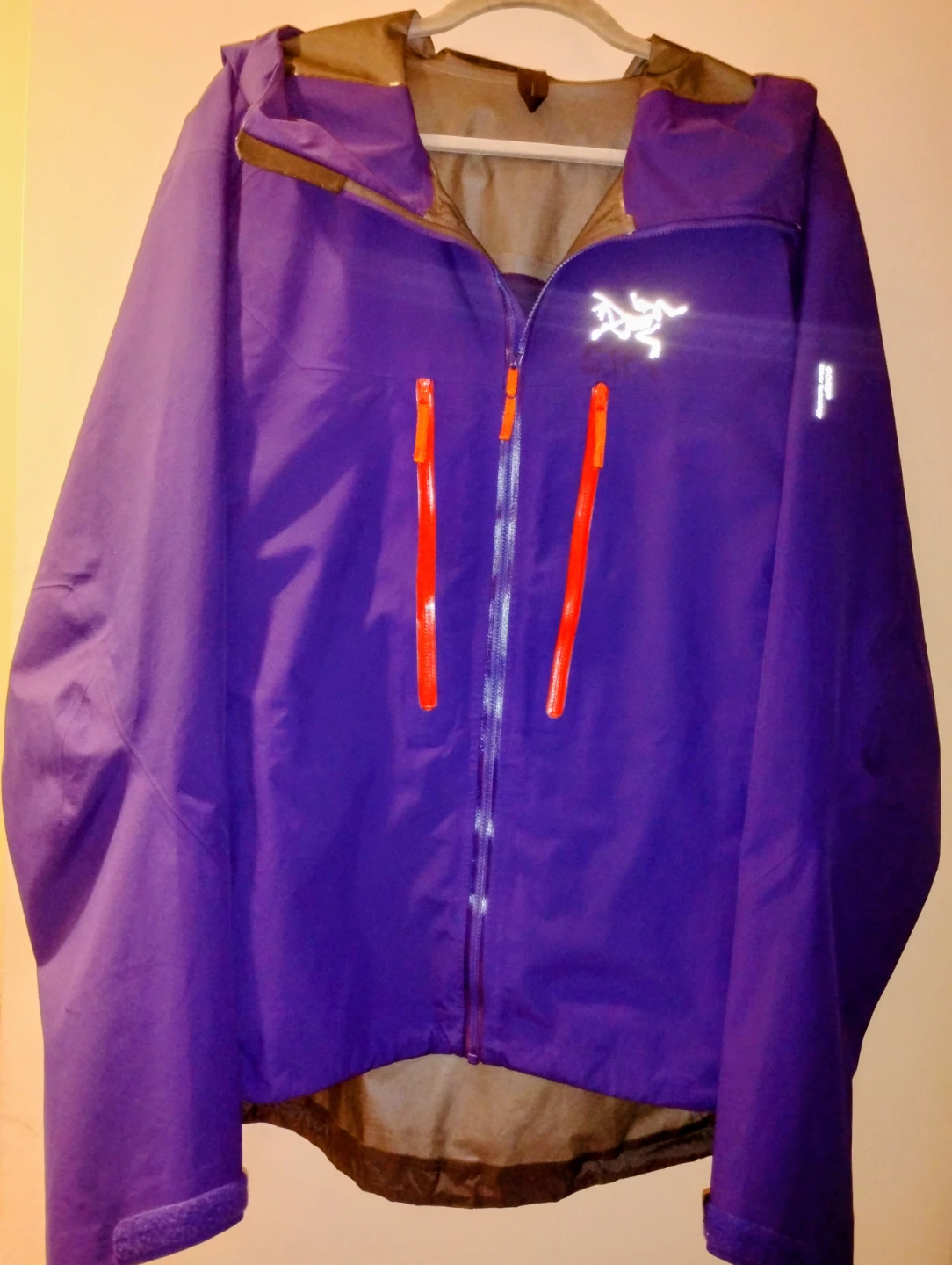 Arc'teryx GORE-TEX Jacket - Men's Large