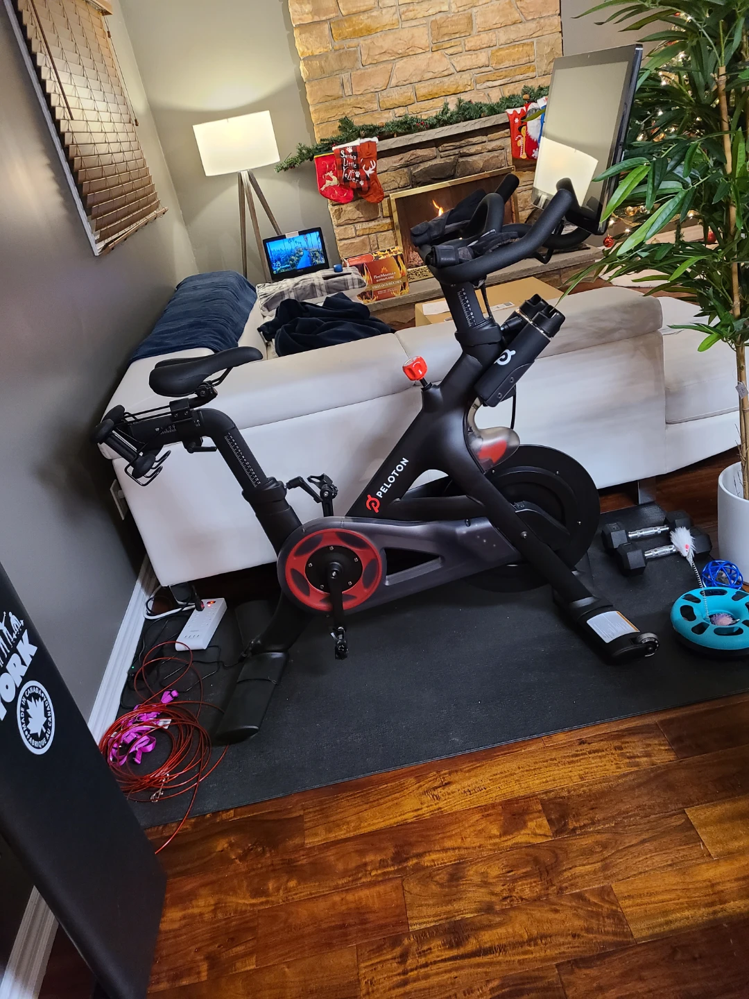 Peloton Exercise Bike