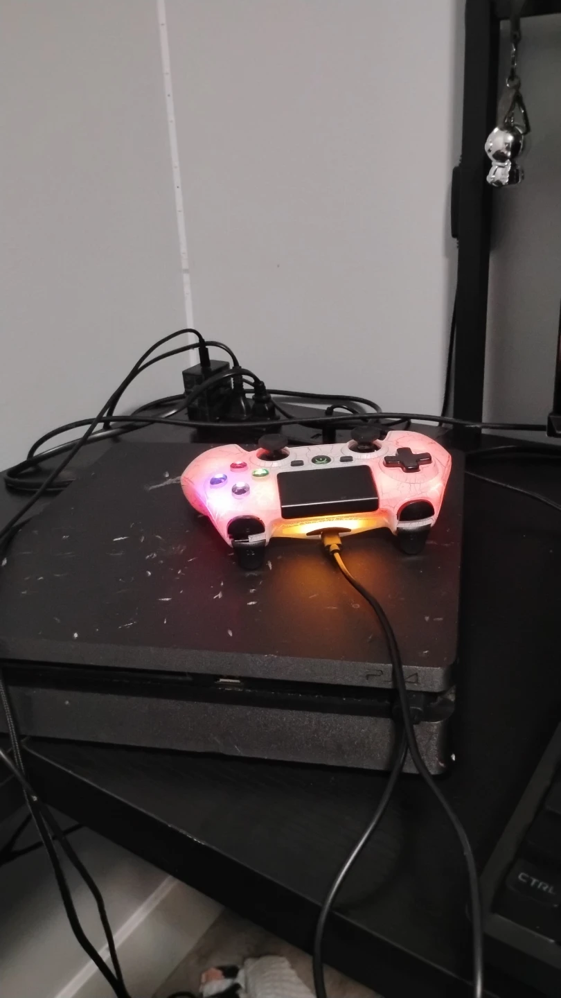 Gaming setup - photo 2