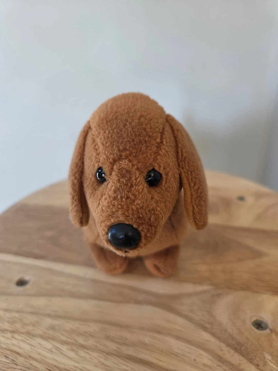 TY Beanie Baby 2.0 - FRANK the Dachshund Dog 7.5" - photo 2