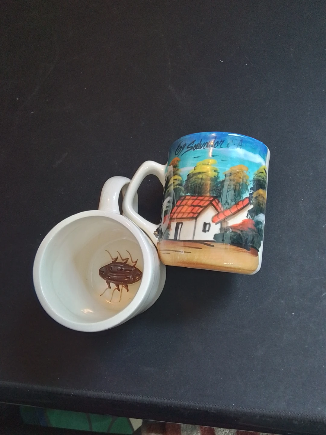 Hand-Painted "Surprise Cockroach" Prank Coffee Mugs