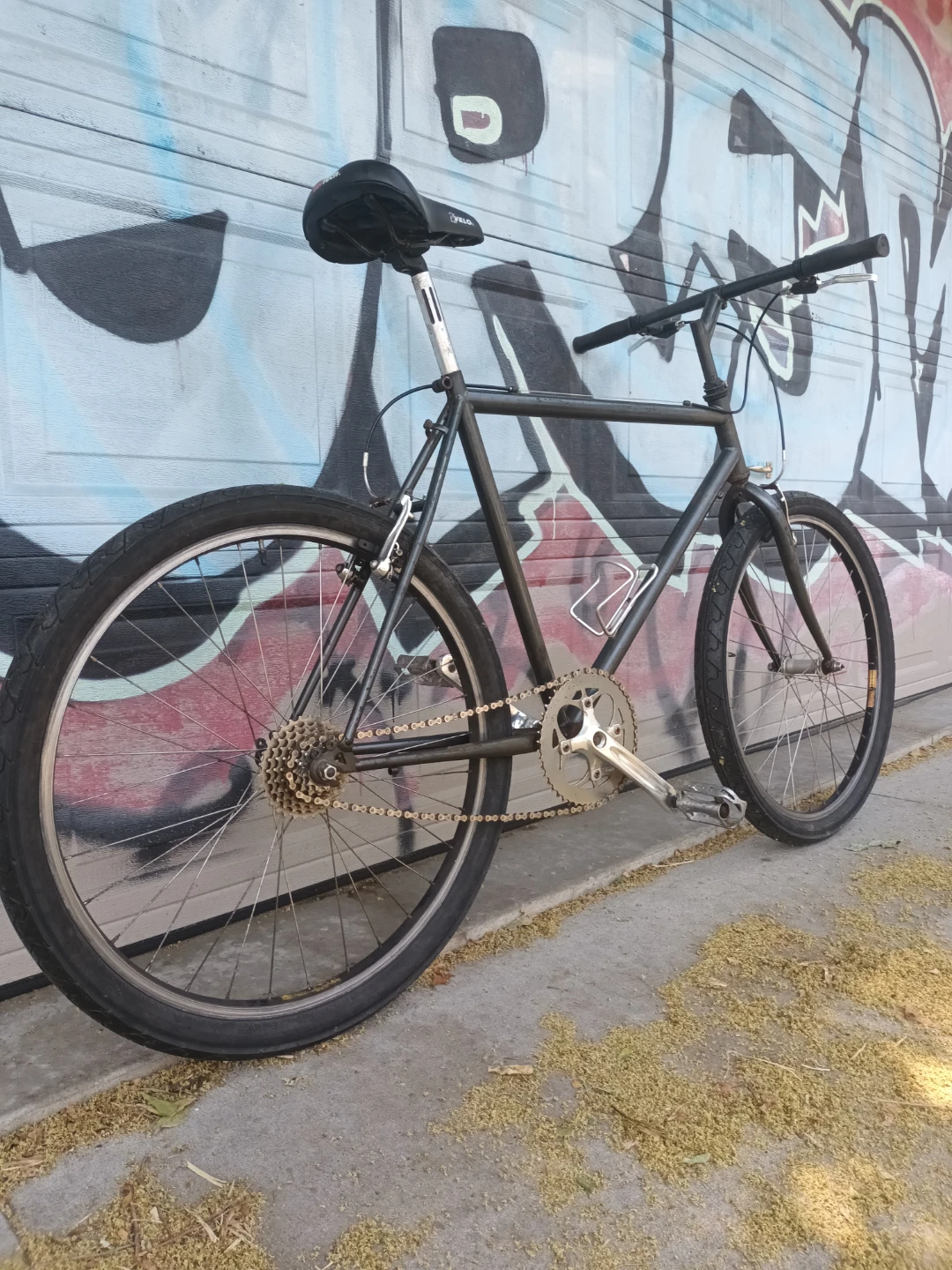 Single Speed Bike for tall Parson - photo 4
