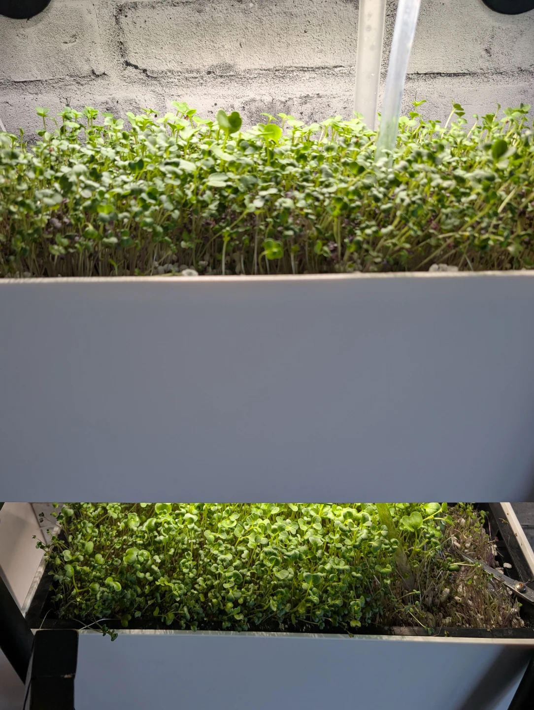 Vertical Hydroponic Garden System with LED Grow Light - photo 4