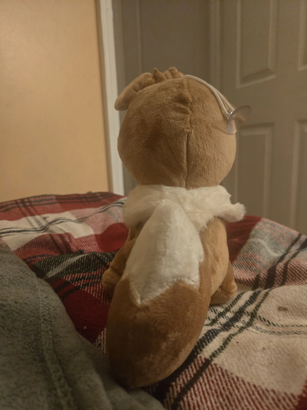 Pokemon Eevee Plush Toy - photo 3