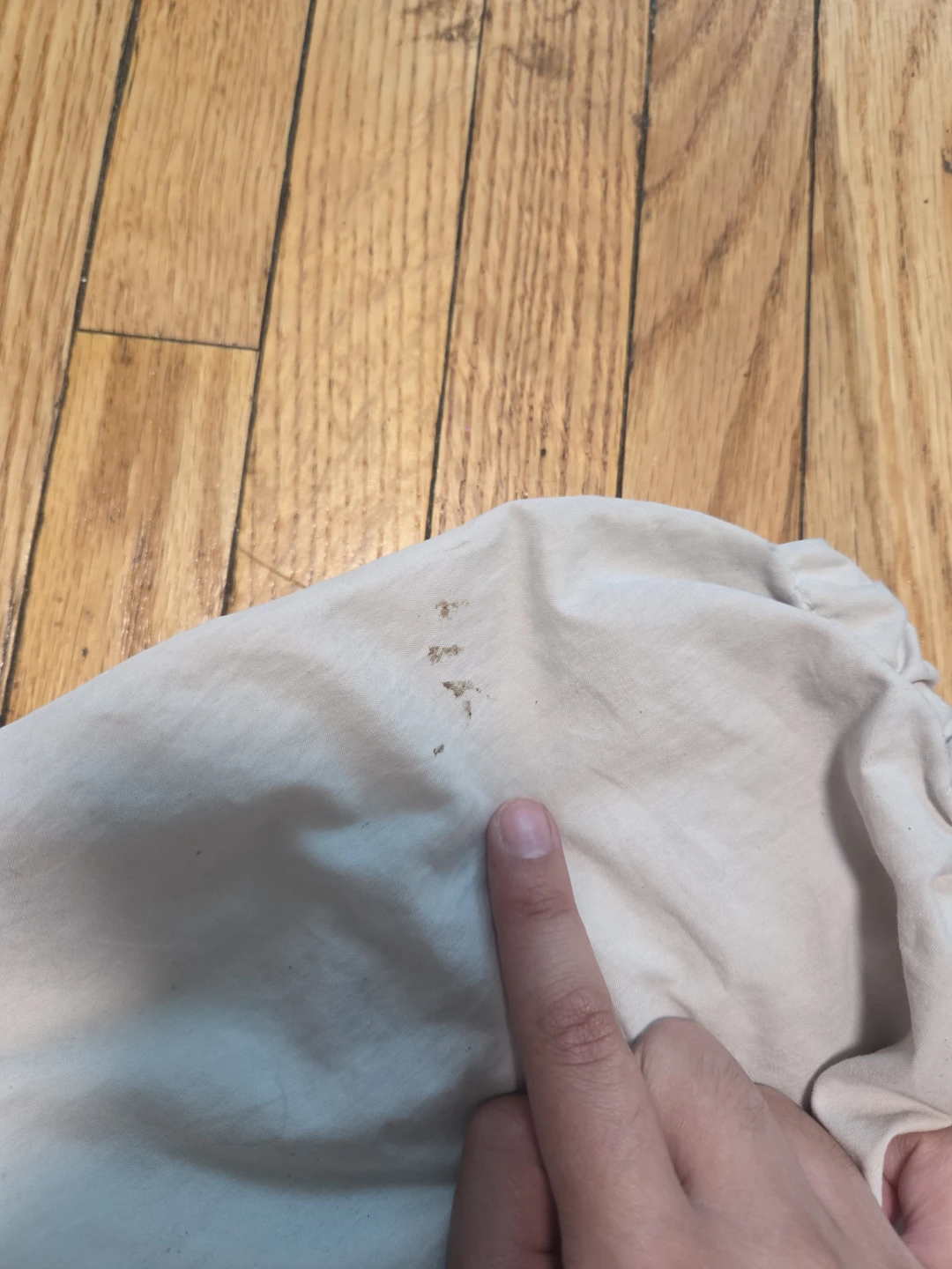 Aritzia Cream Elastic Waistband Cargo Pants. - photo 5