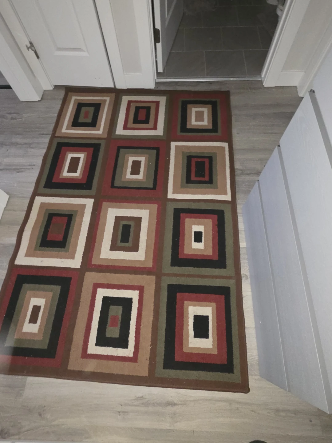 Area Rug