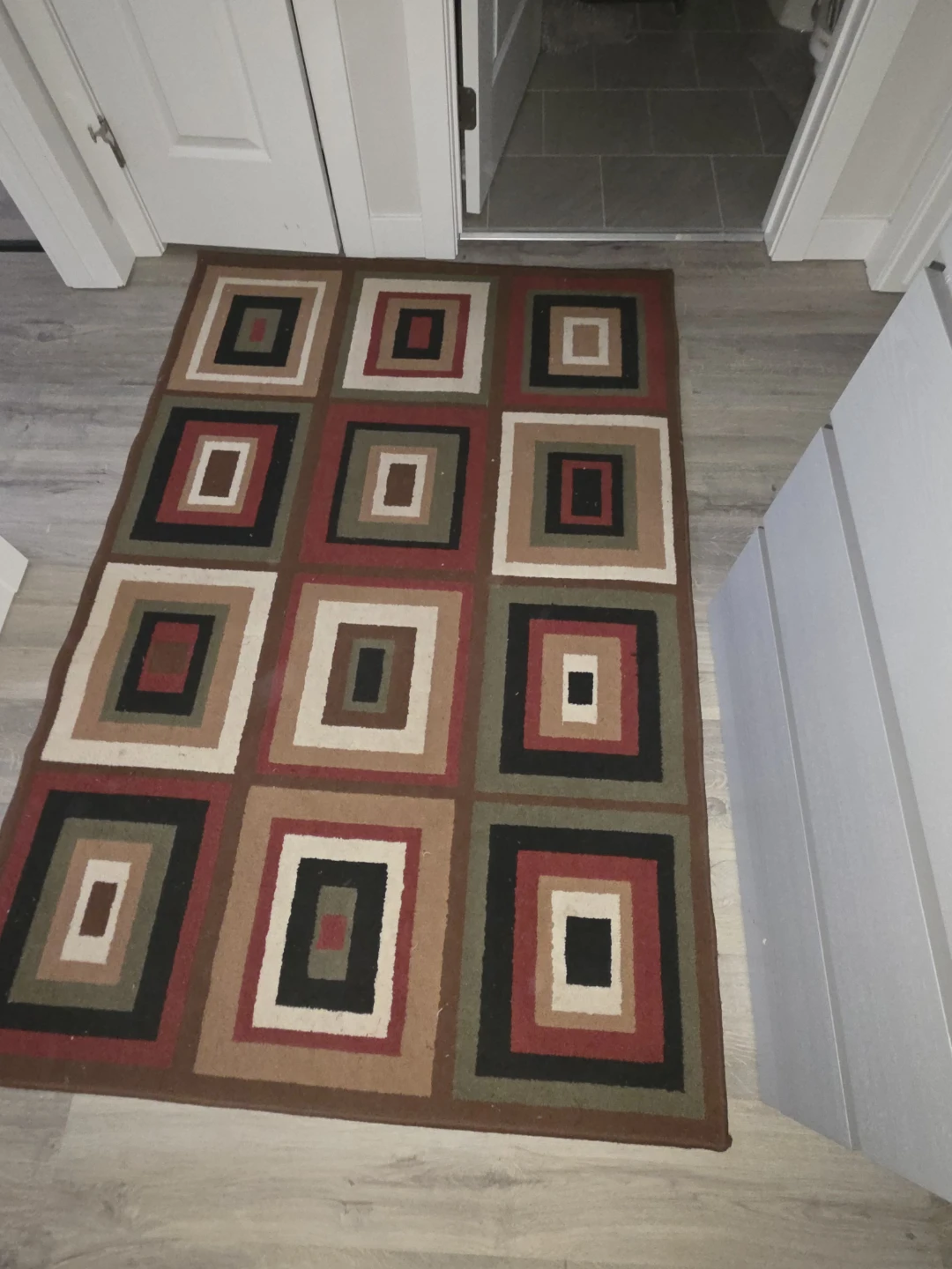 Area Rug - photo 2