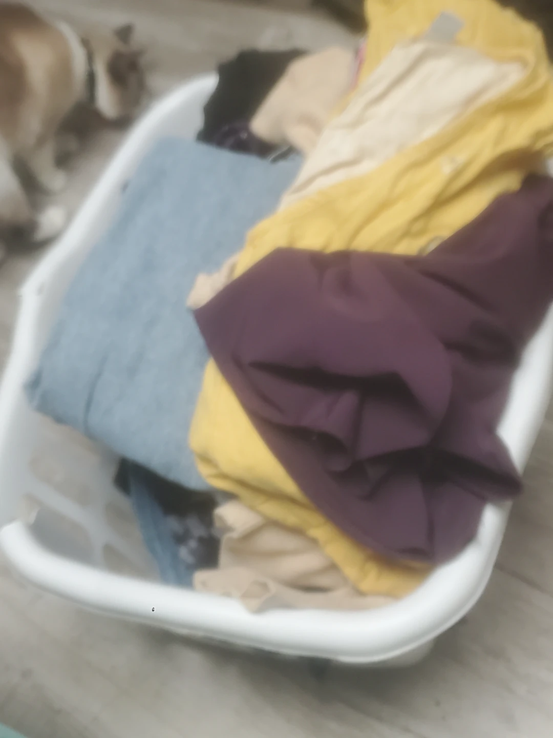 Asorted womens clothing clothing - photo 2