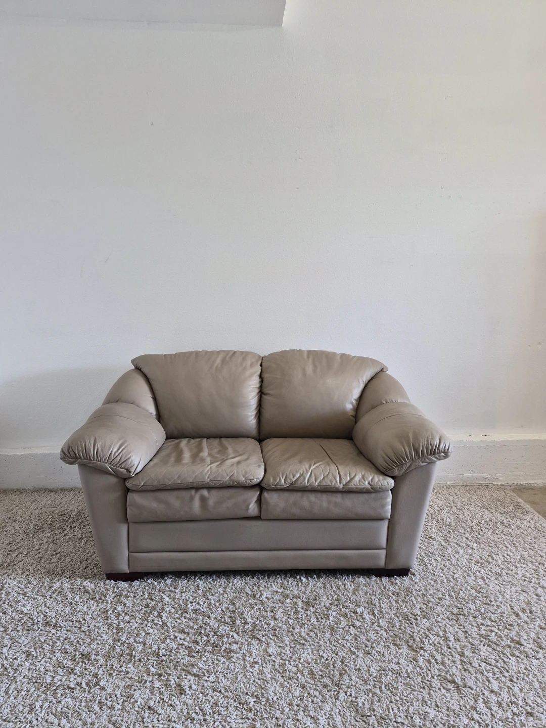The Brick 2 Seater Loveseat Leather Sofa Couch