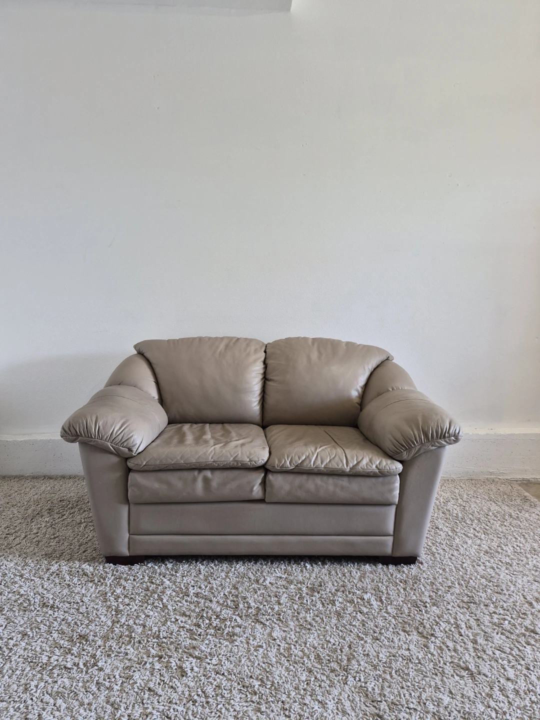 The Brick 2 Seater Loveseat Leather Sofa Couch - photo 2